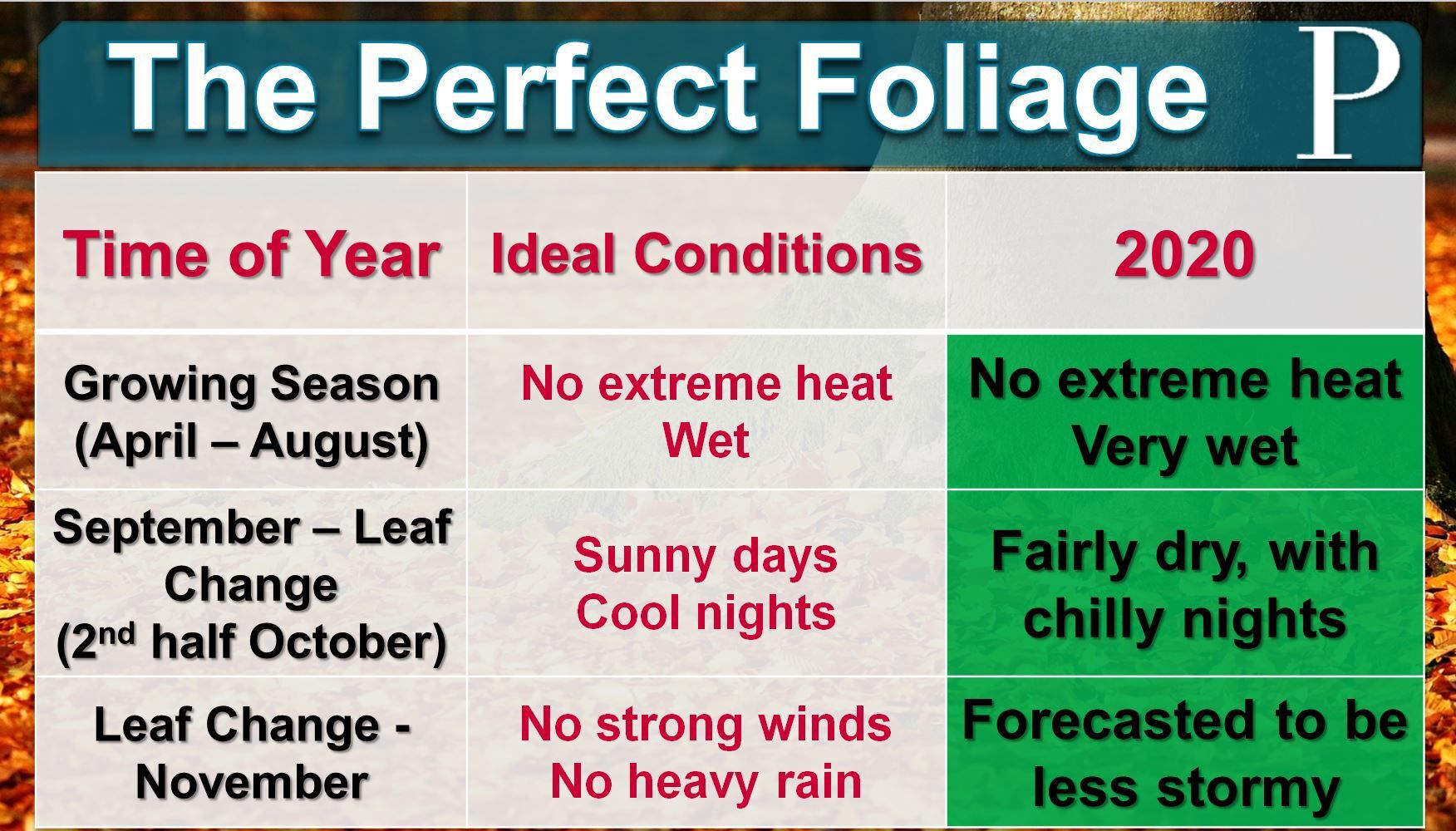 Fall Foliage 2020 Forecast